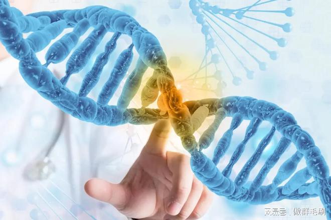 “刷” 出生物医药领域洁净新高度pg电子平台傲群医疗器械清洁刷：(图3)